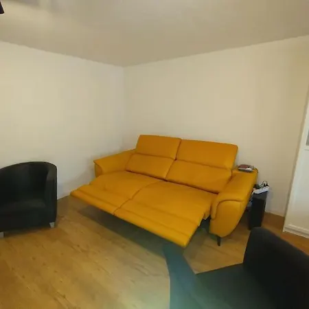 Schicke Hundefreundliche