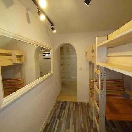 Schicke Hundefreundliche