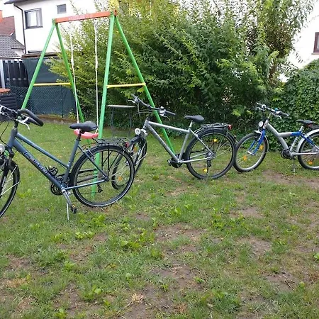 Schicke Hundefreundliche *