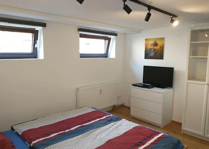 Schicke Hundefreundliche