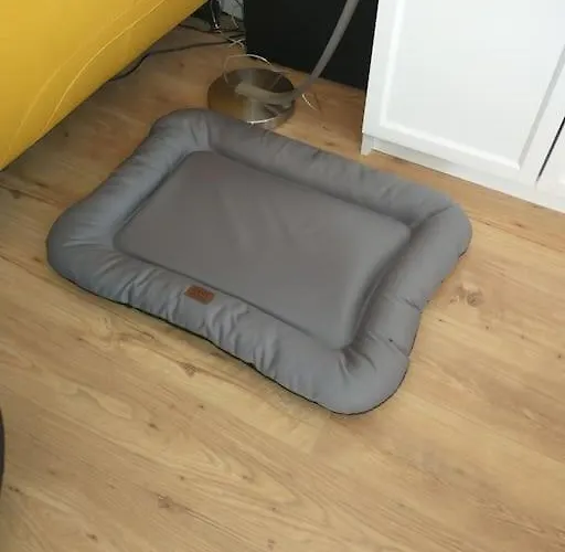 Schicke Hundefreundliche Апартаменты