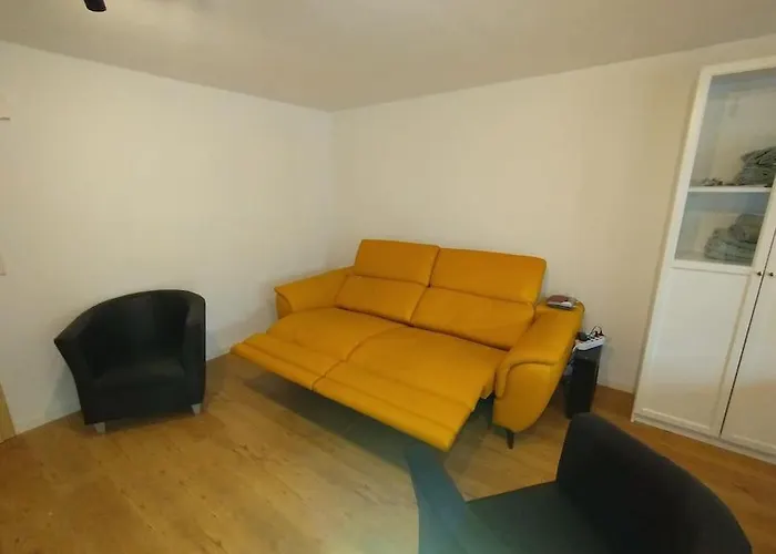 Schicke Hundefreundliche