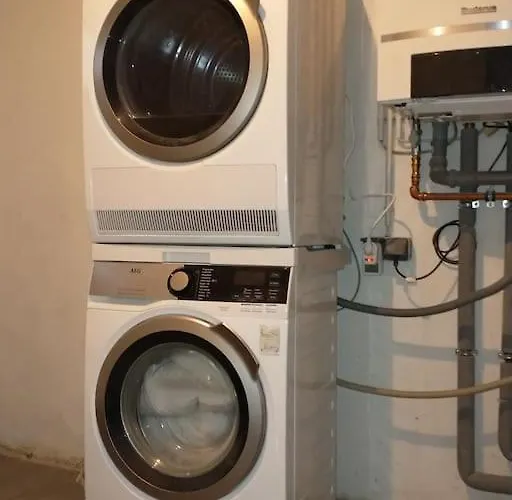 Schicke Hundefreundliche * Alsheim